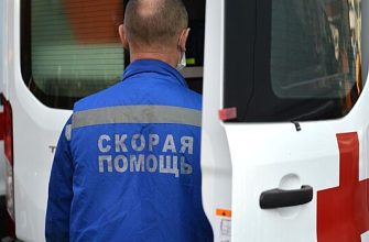 732E7D9Ce55Dd793E10F12F83B57Ff2A Девочку Укусила Гадюка В Московской Области: Как Ей Помогли Врачи. 5