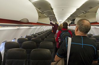 E7E940C4659Fe4Bca2220F6C38314125 Рейс American Airlines Экстренно Приземлил В Финиксе Из-За Вшей У Пассажирки 4