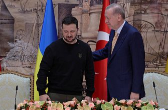 2B3527043C1734A7C8D6E22Ea4F76A82 Эрдоган Пообещал Зеленскому Усилия По Прекращению Огня И Возобновлению Зерновой Сделки 2