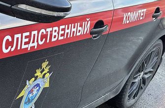 63D3894F45487D269074Fe751E7Ab50E Следственный Комитет Начал Проверку Школы В Калининграде Из-За Мигрантов Без Русского Языка 9