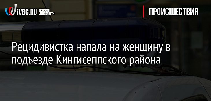 97B37219C84F4483773C14386164E2D9 Рецидивистка Напала На Женщину И Украла У Нее Сумку В Кингисеппе 1